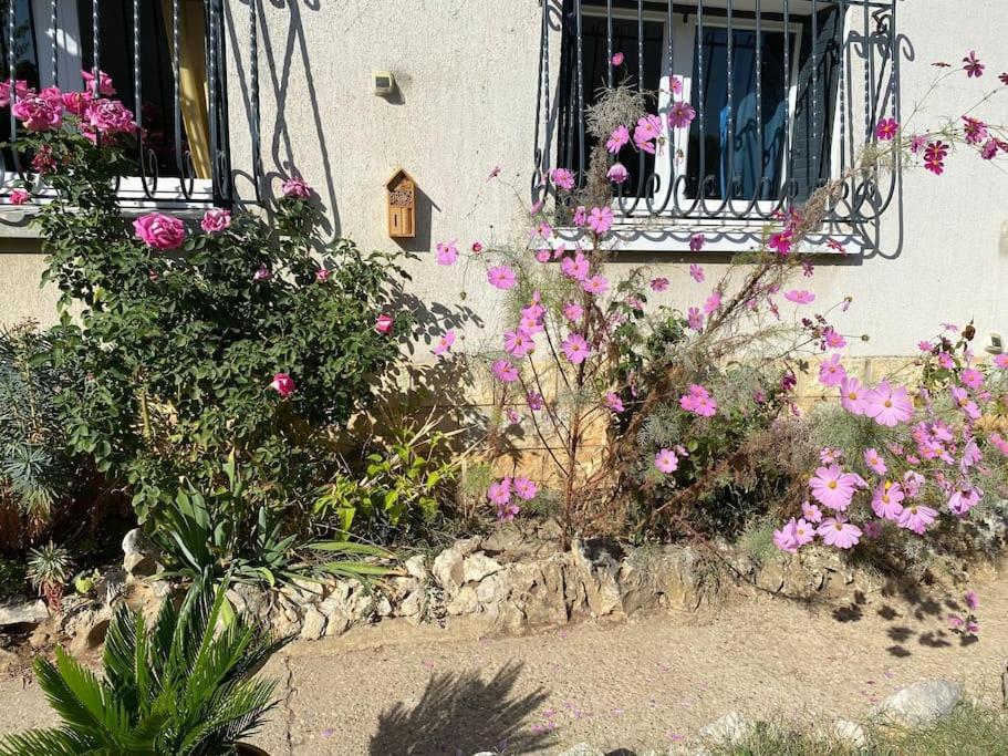 Une Pause Au Paradis Sorgues Dış mekan fotoğraf
